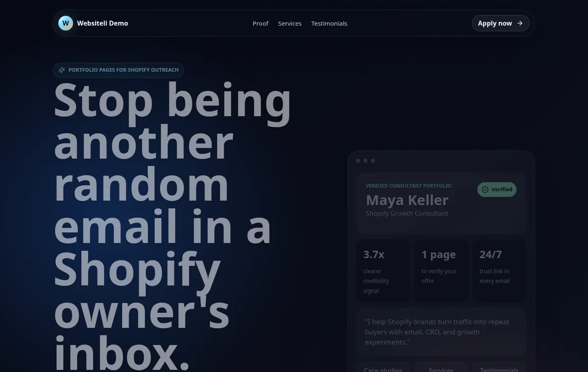 Shopify Consultant Portfolio Website homepage screenshot